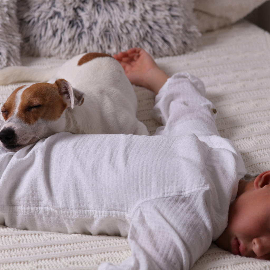 Invitation to Foster a Pet
