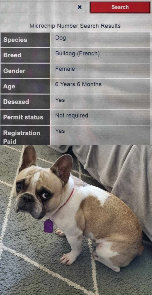 Pets