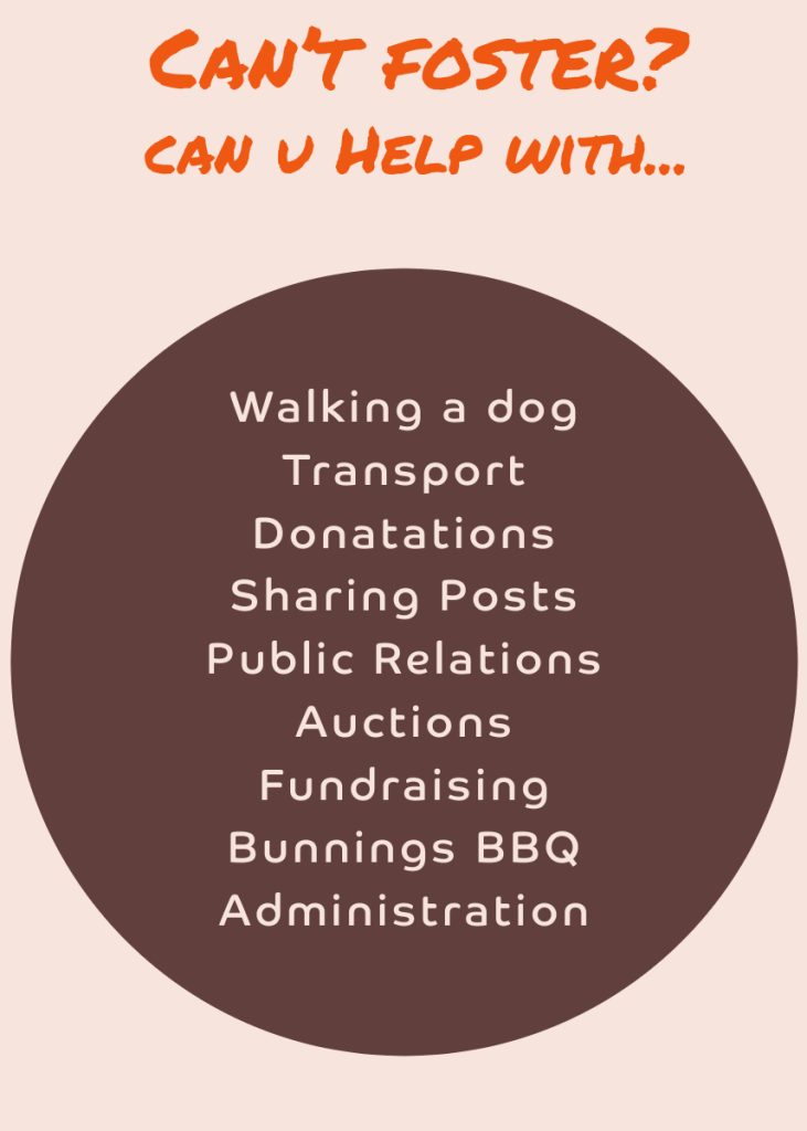Animal Rescue Roles