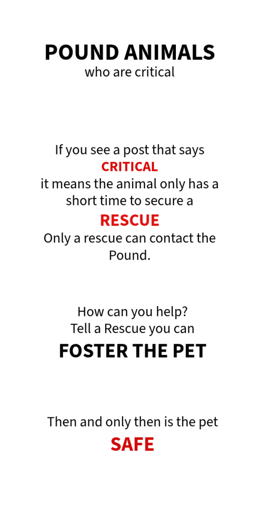A Foster Carer's Journey