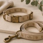 Pet Care Services
