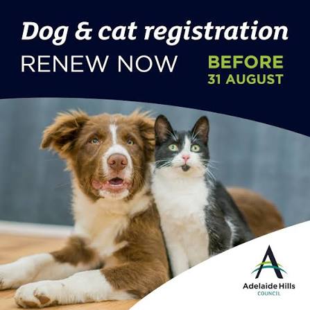 Check the Microchip and Registration