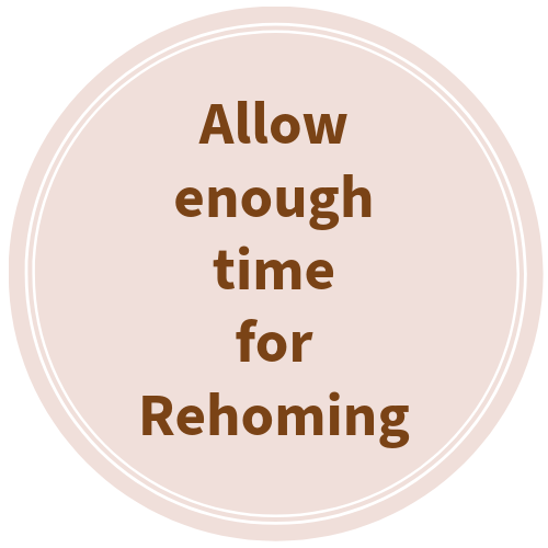 Tips for Adoption and Rehoming