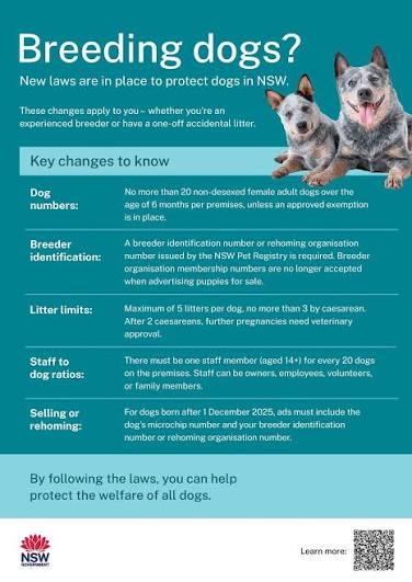 Identification Rules and Legislation for Pet Listings