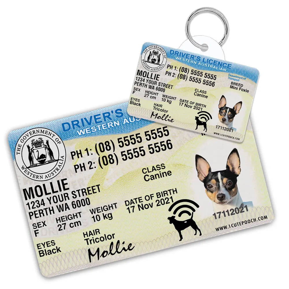 Check the Microchip and Registration