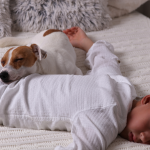 boy sleeping with dog