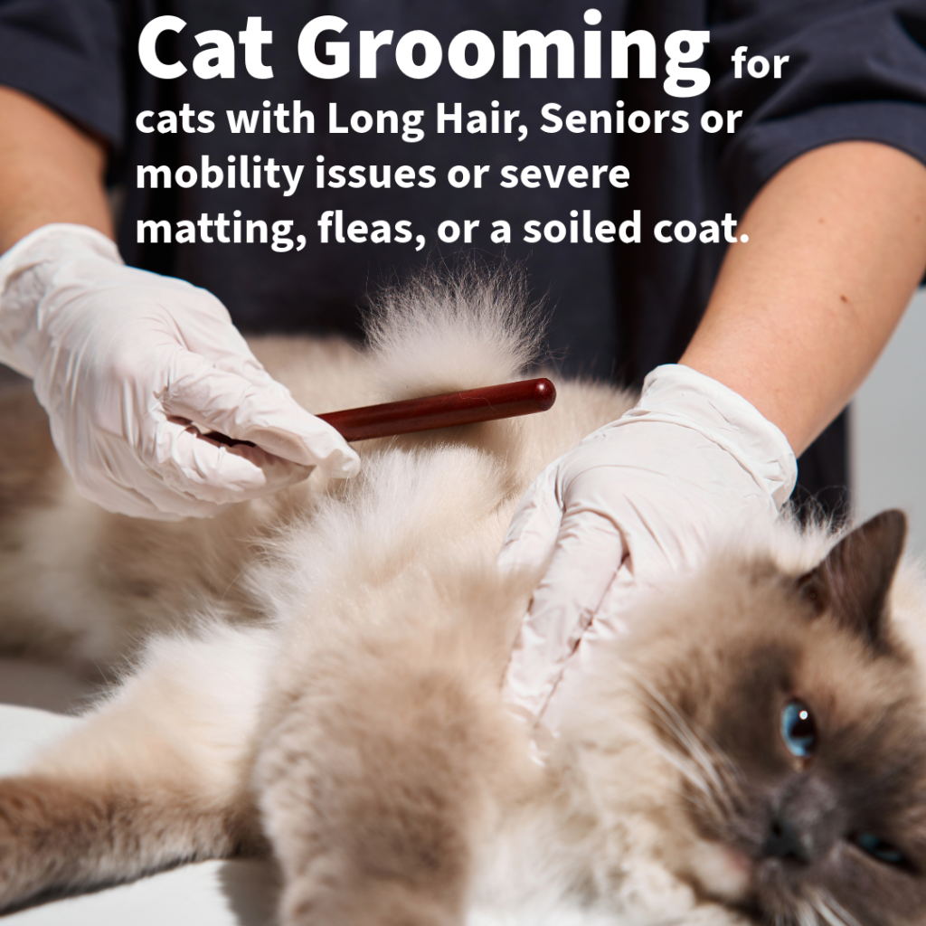 Pet Grooming