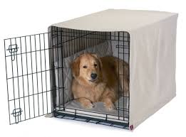 Finding a Dog Trainer or Dog Behaviourist