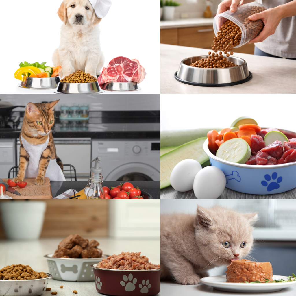 Pet Food