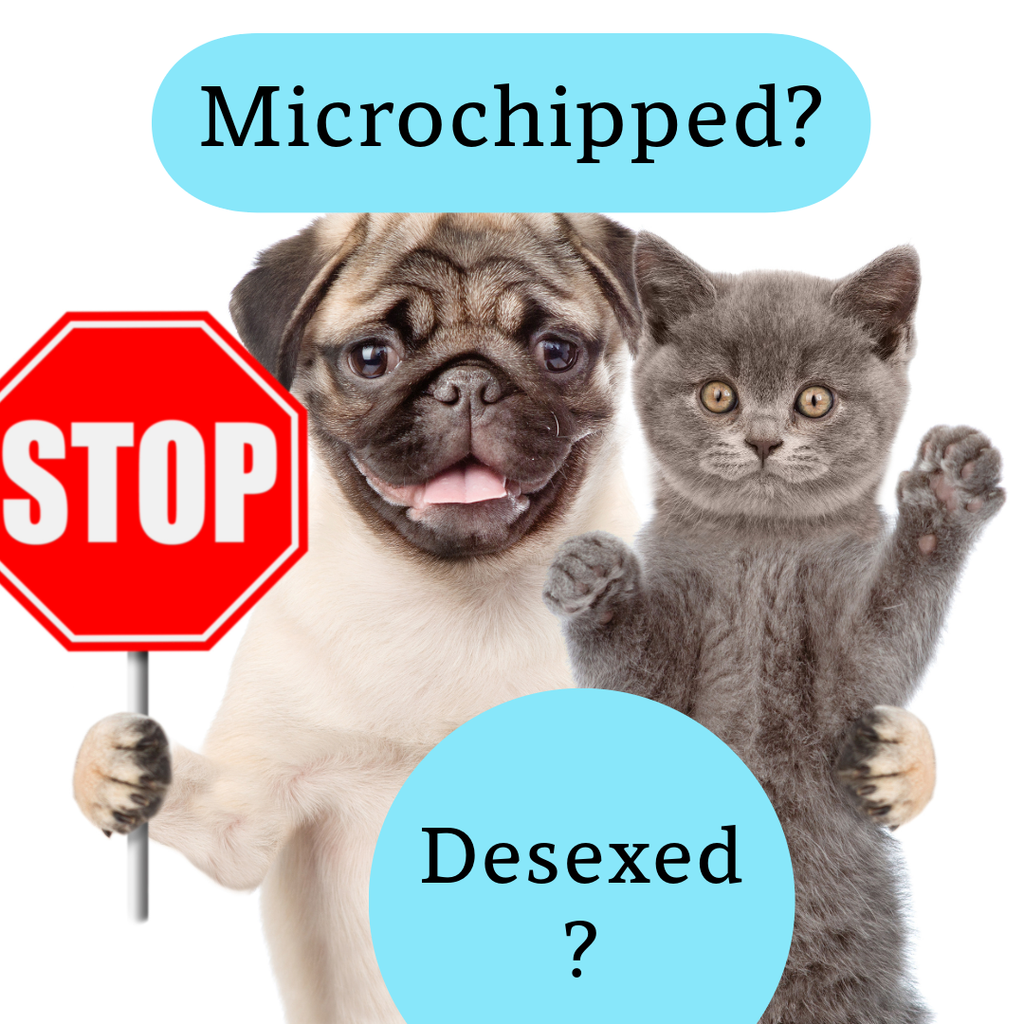 Desexing your Pet