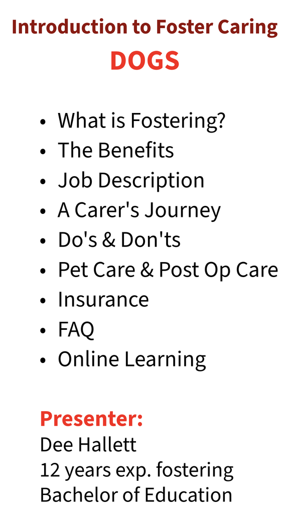New Foster Carer's Workshop